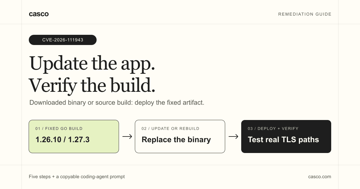 How to Fix CVE-2026-111943 in Go Apps and Binaries