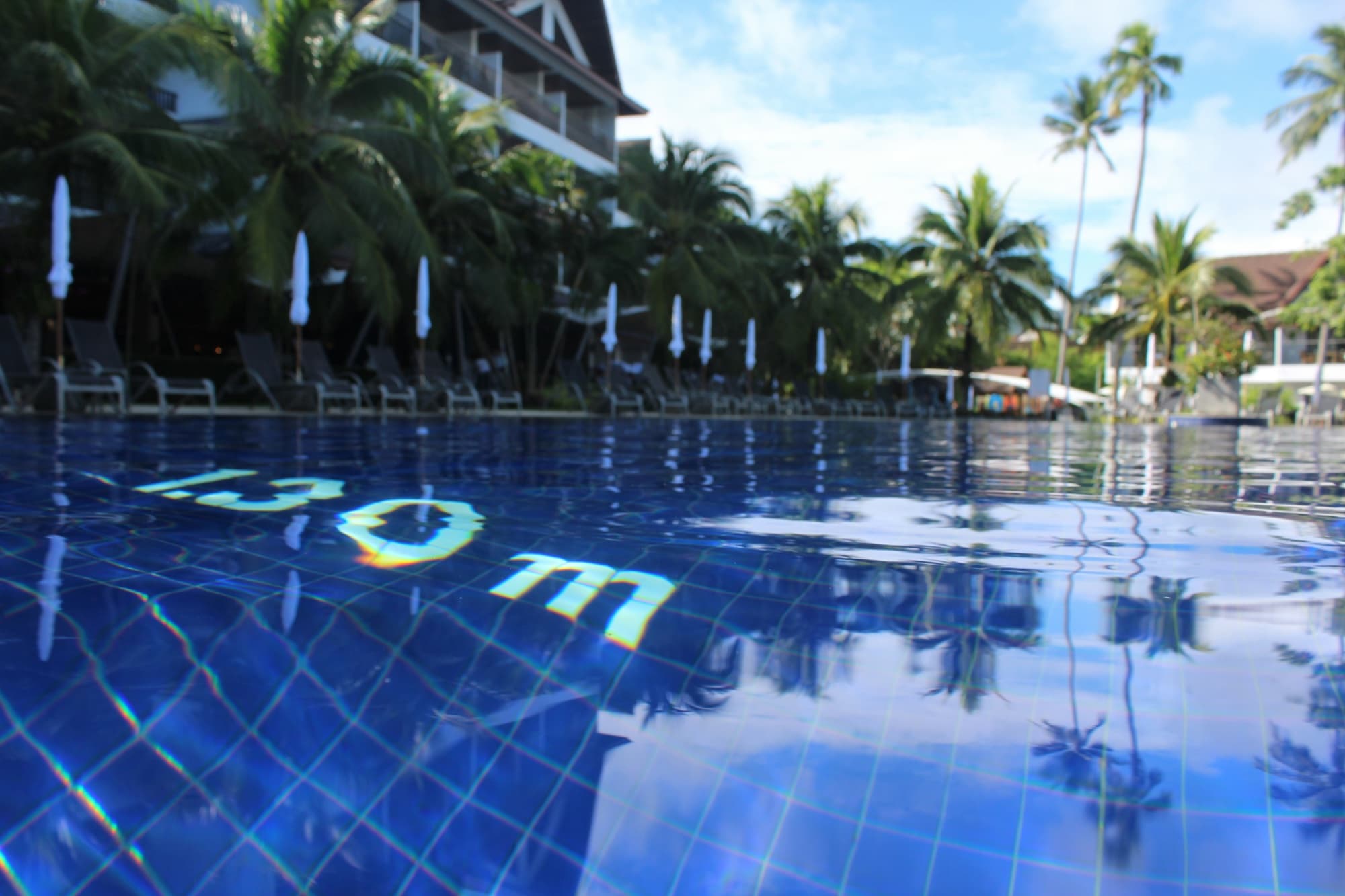 A quiet resort swimming pool lined with palm trees